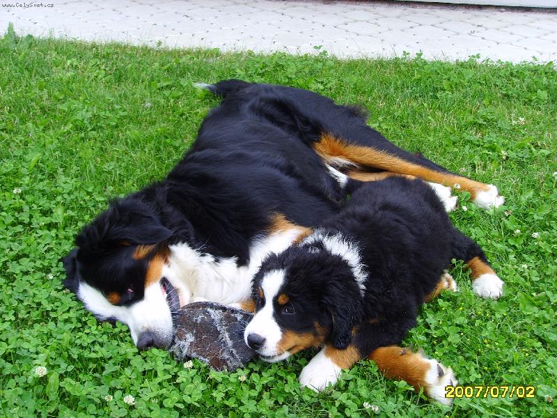Foto: Akim a Casey