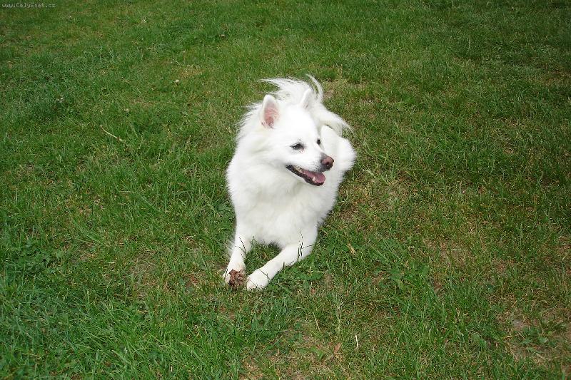 Foto: Elis -3roky
