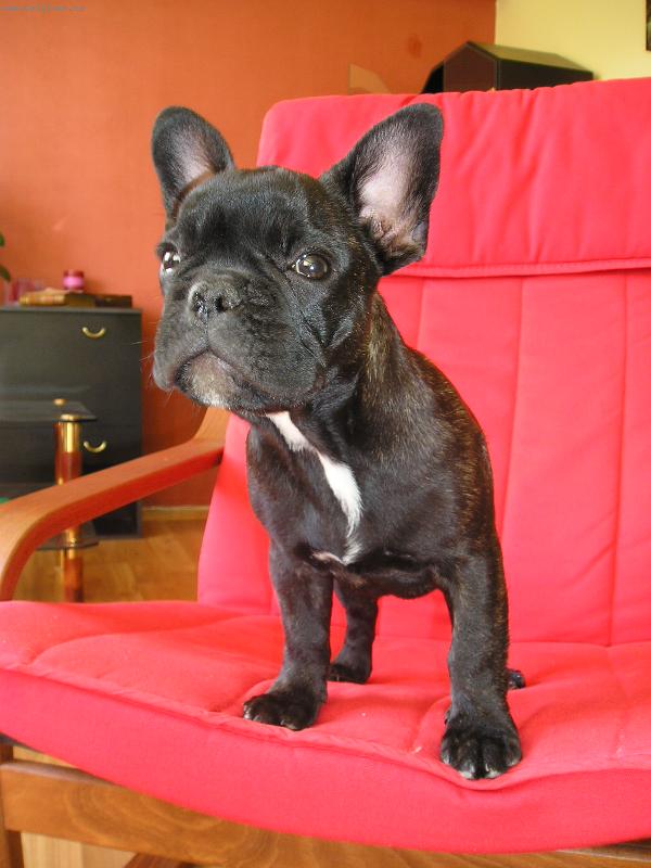 Foto: Derill