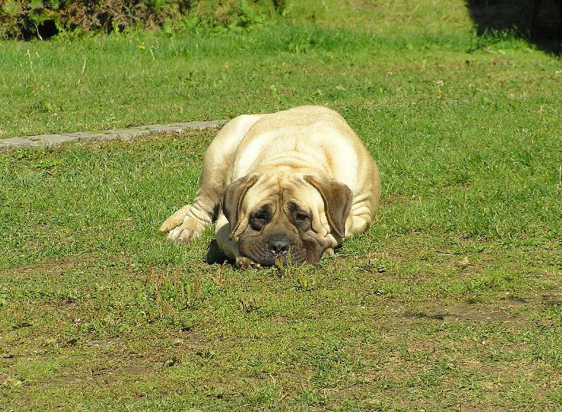 Foto: Nelinka