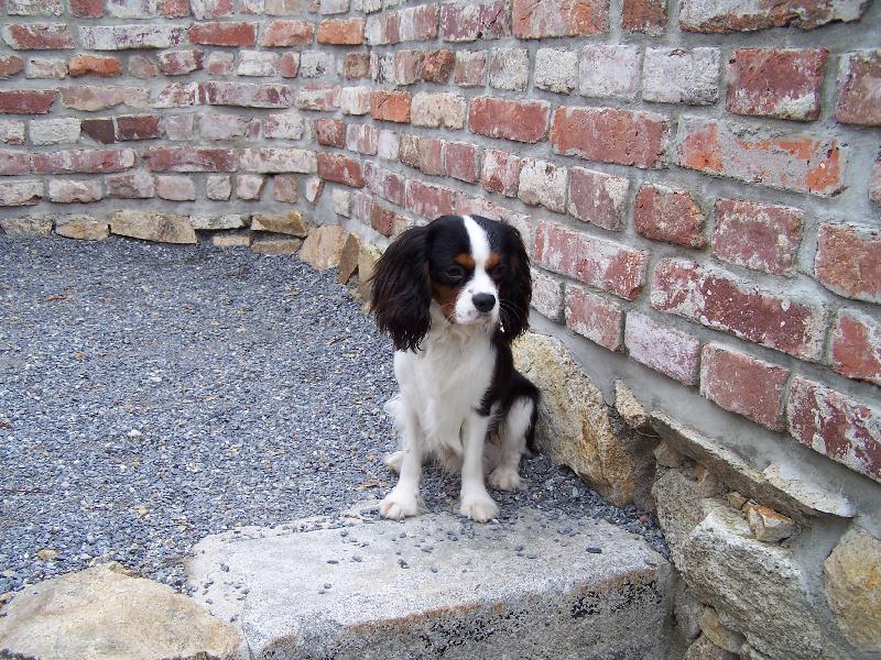 Foto: Lucky