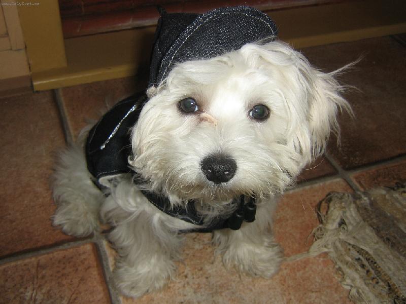 Foto: Timmy