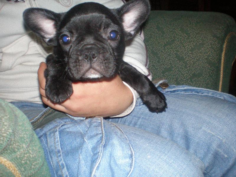 Foto: puppi