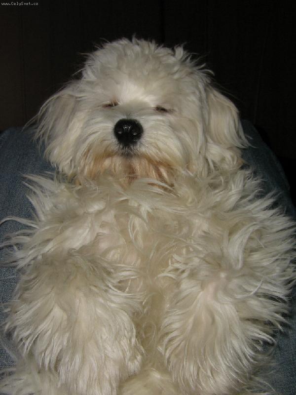 Foto: Timmy