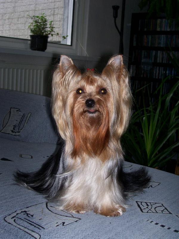Foto: Bessy-Bessy