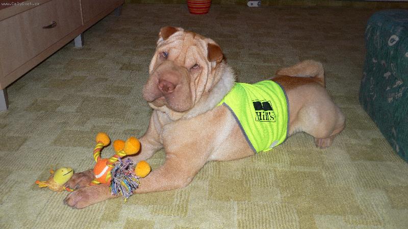 Foto: Oliver