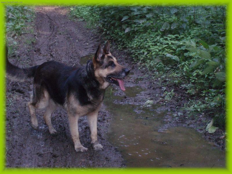Foto: AMON