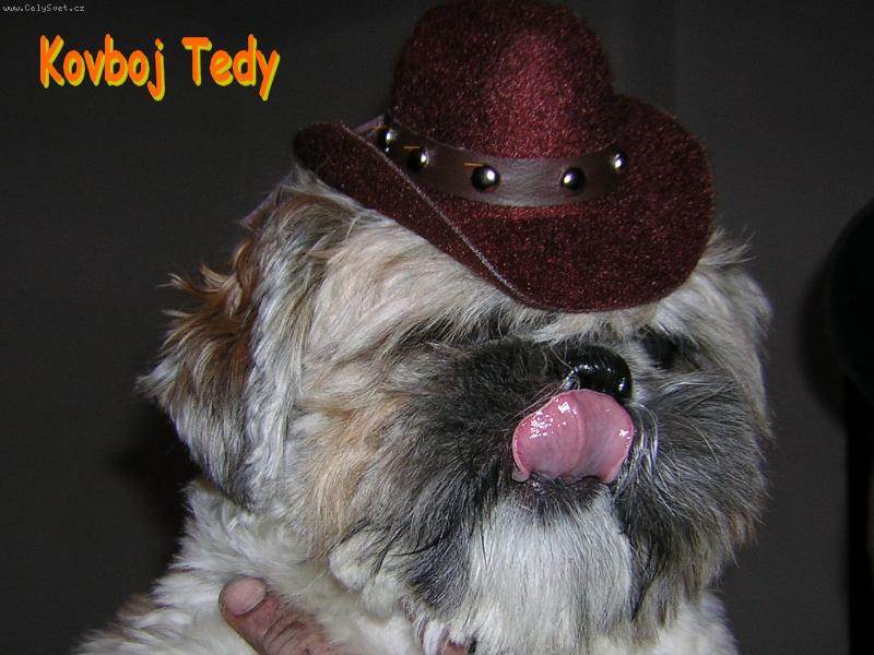 Foto: fr�ja Tedy