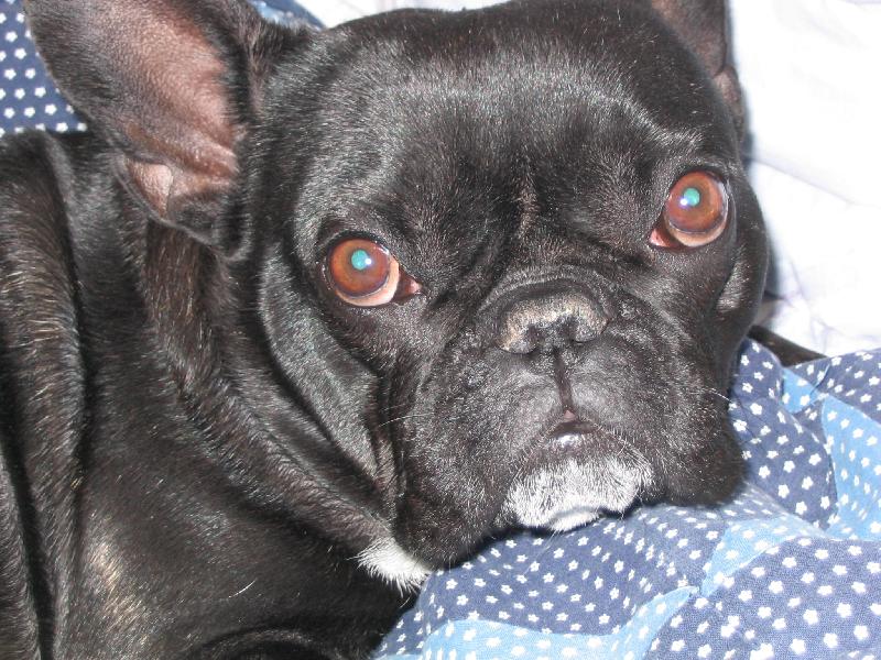 Foto: Pegginka
