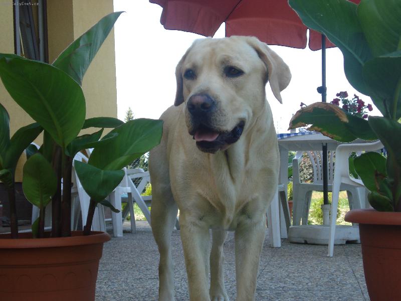 Foto: Max-Kukuk