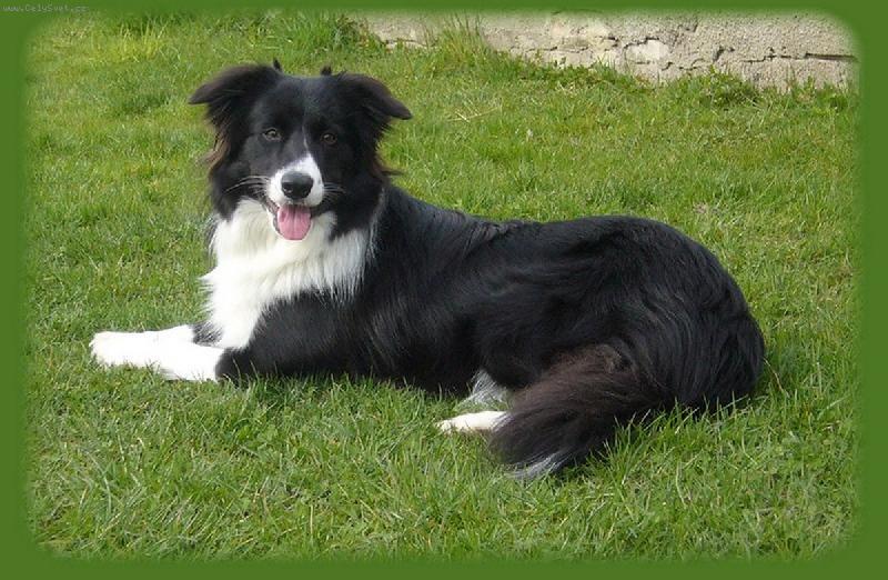 Foto: Bessynka