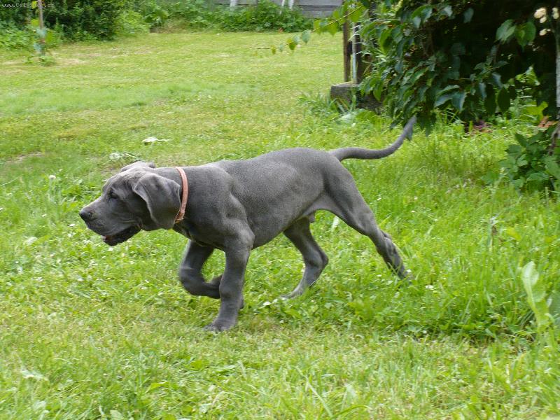 Foto: Bastien