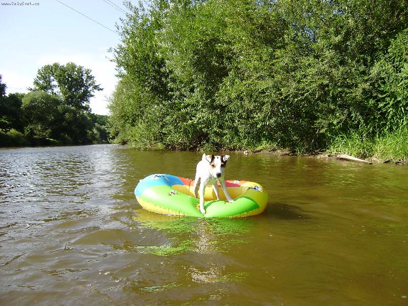 Foto: Na �lunu
