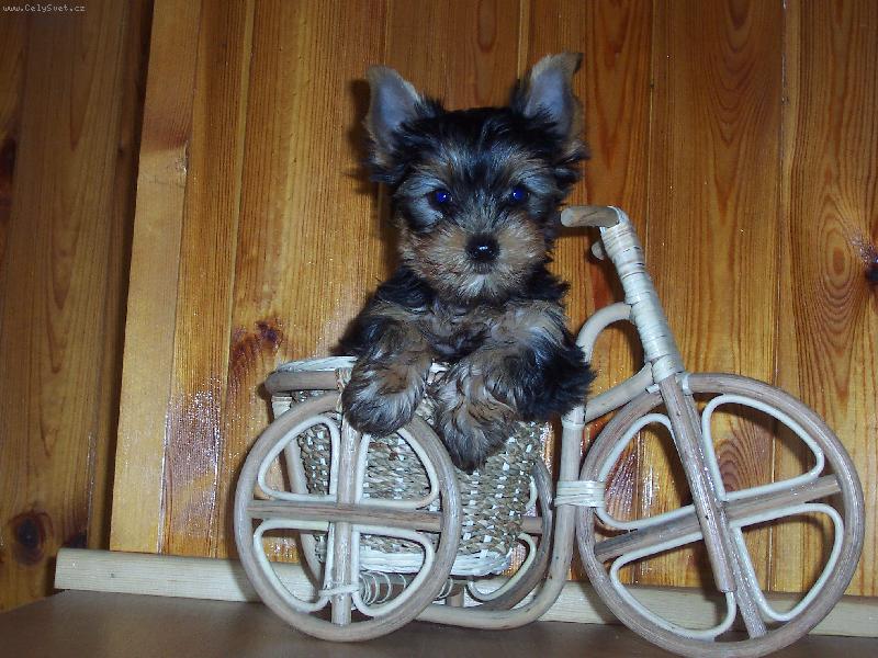 Foto: Freika