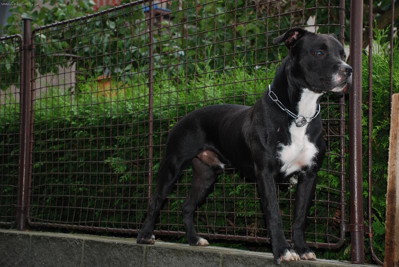 Foto: Draath