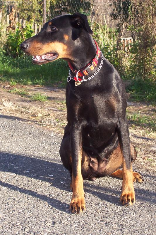 Foto: Trixy