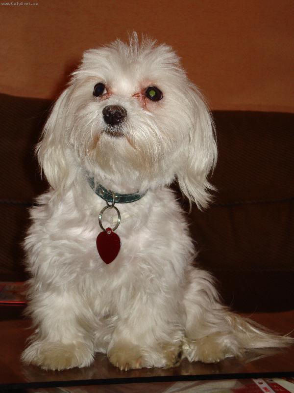 Foto: nelinka