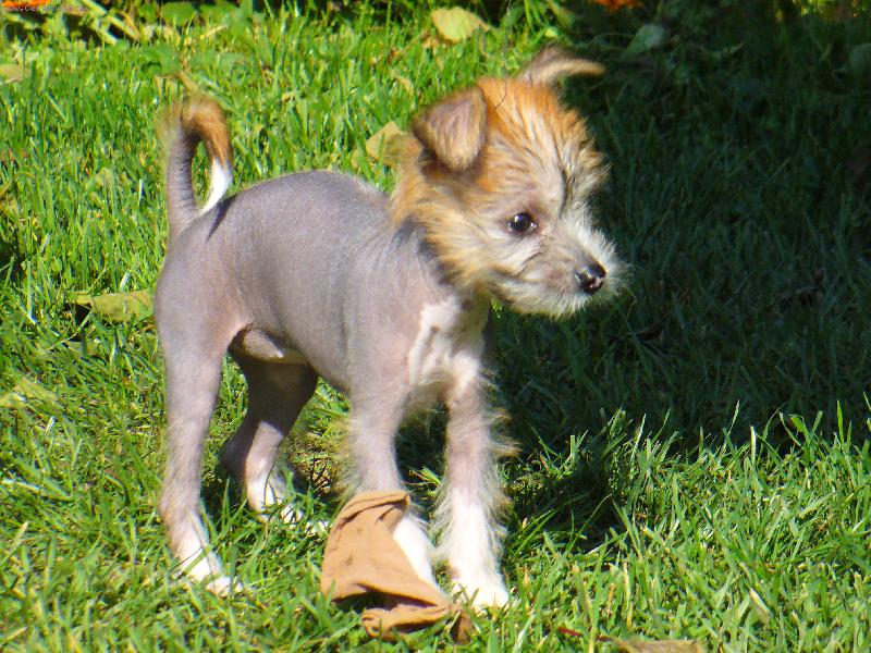 Foto: Zoe