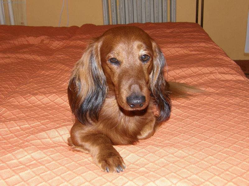 Foto: Benjie