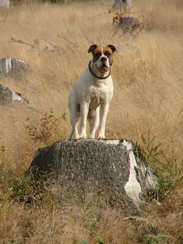Foto: Roxy--Roxy-