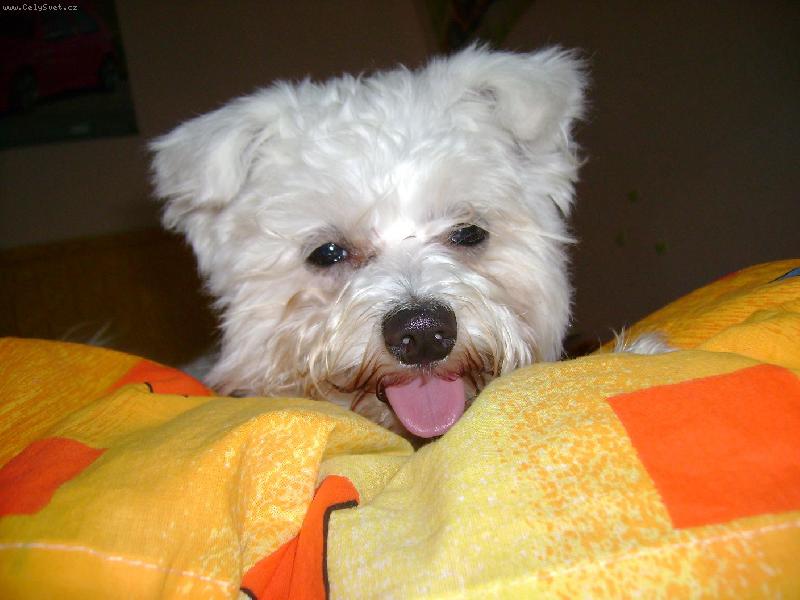 Foto: KUK:-)