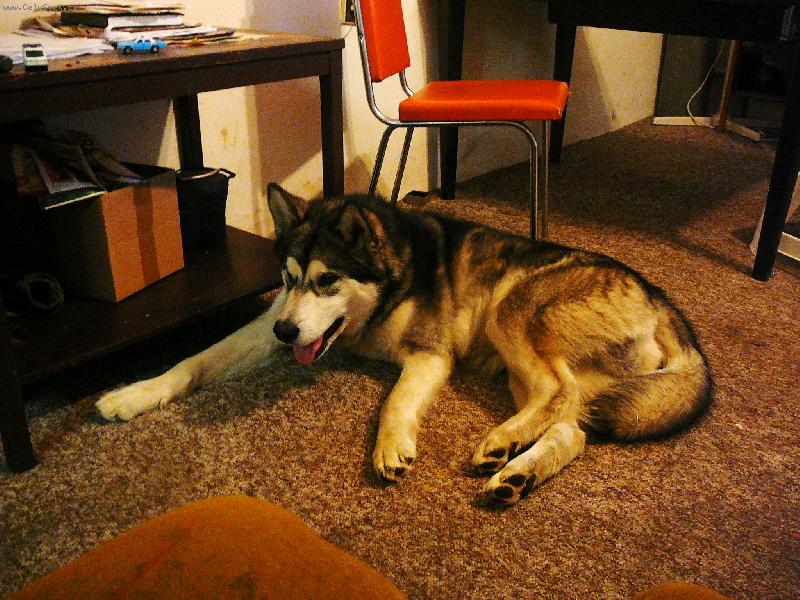 Foto: roky