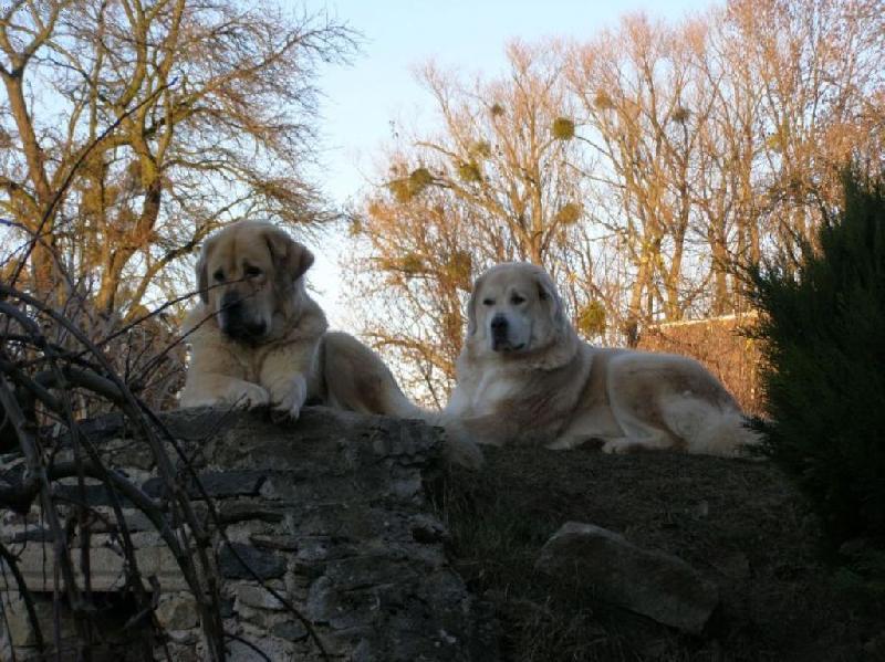 Foto: Elza a Baski