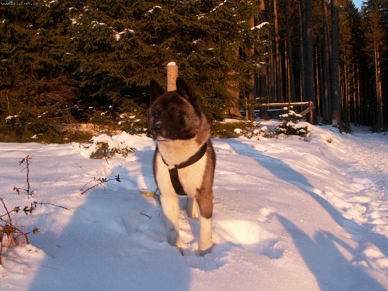 Foto: Akim