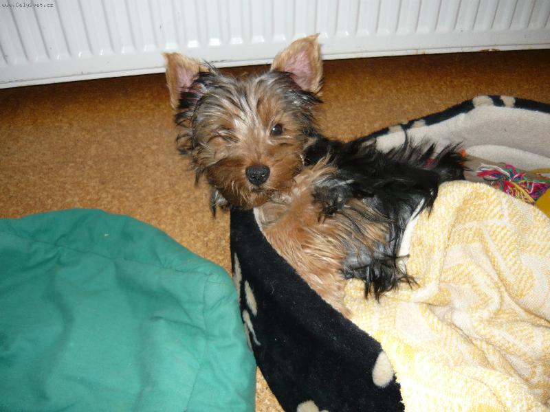 Foto: balu-siesta