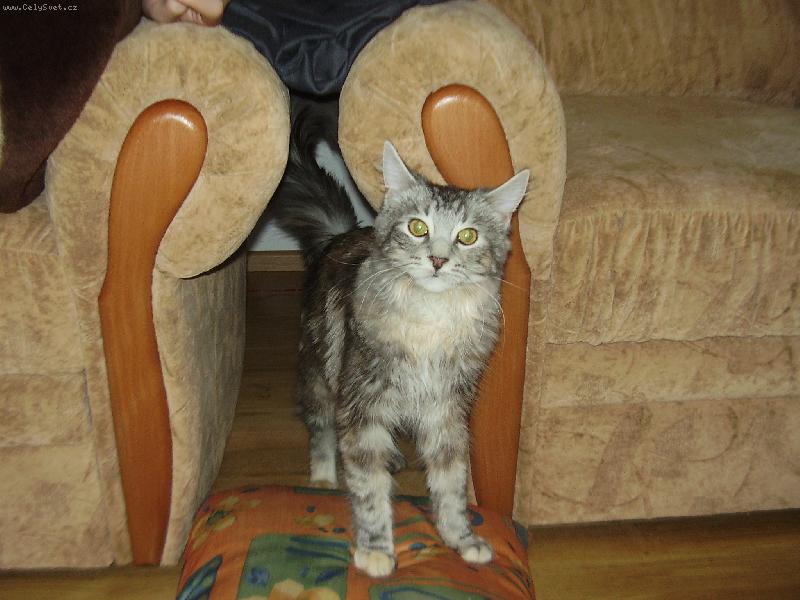 Foto: magie-mazel