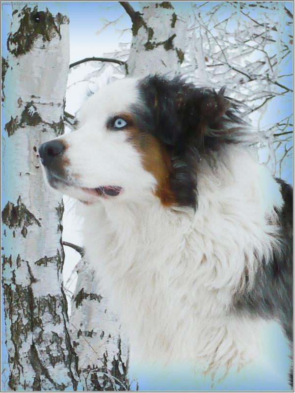Foto: sn�h�nek