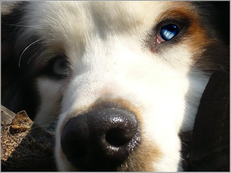 Foto: co chce� ?