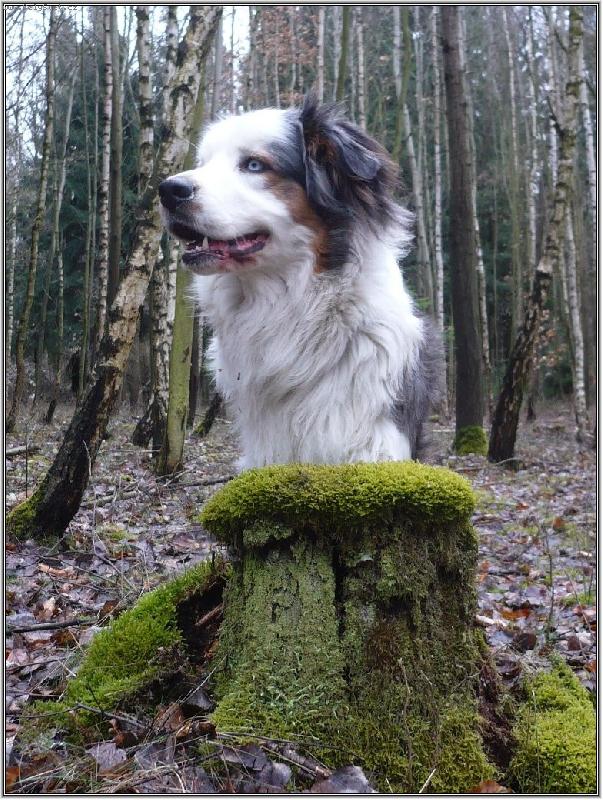 Foto: bista a basta