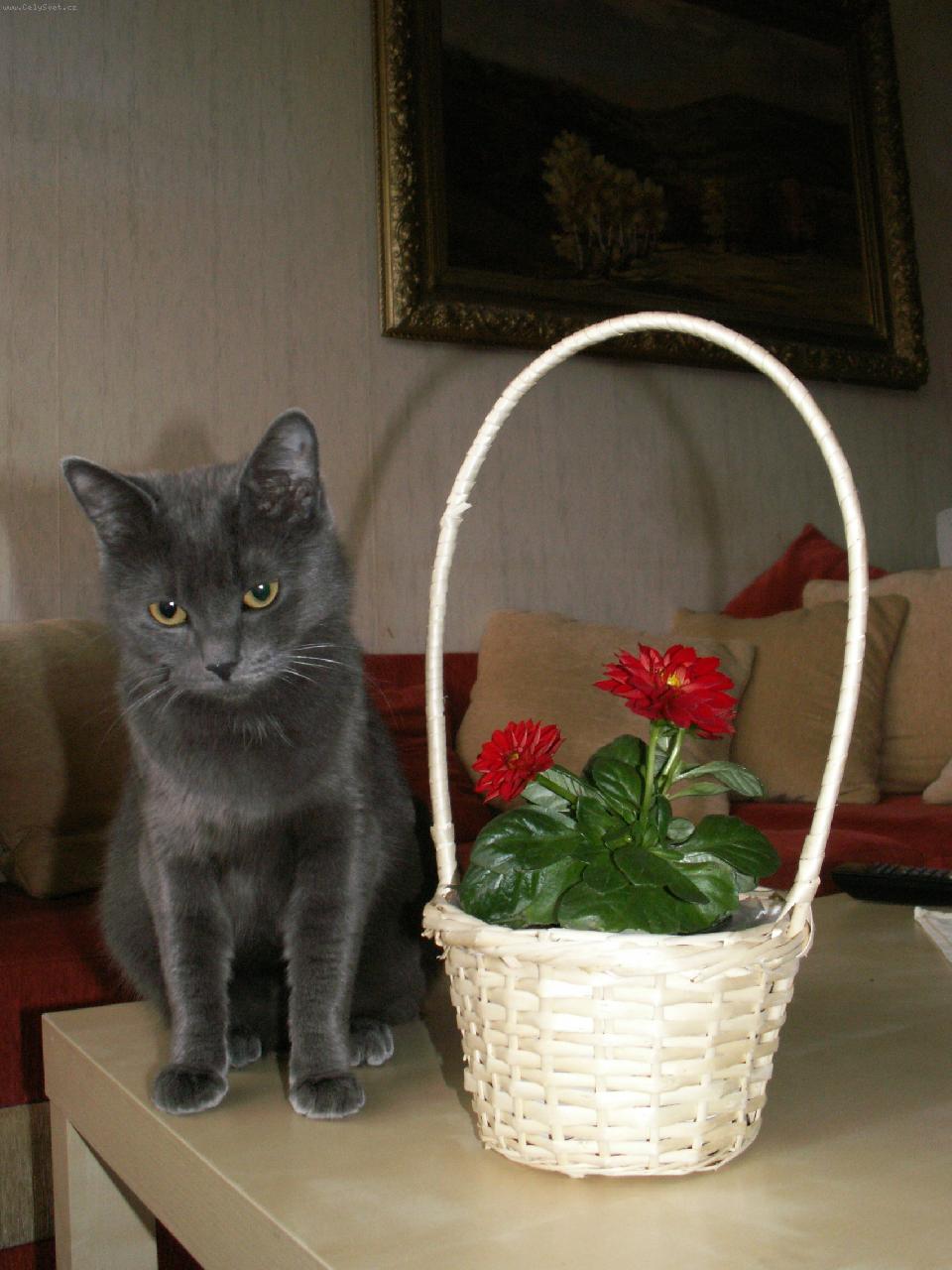 Foto: Lucinka