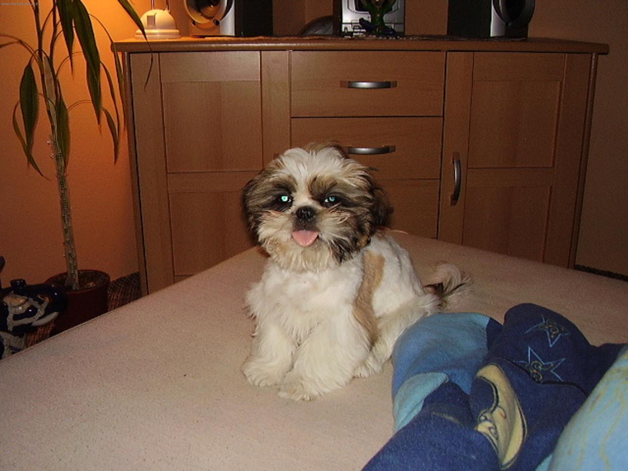 Foto: Chicco-pohoda