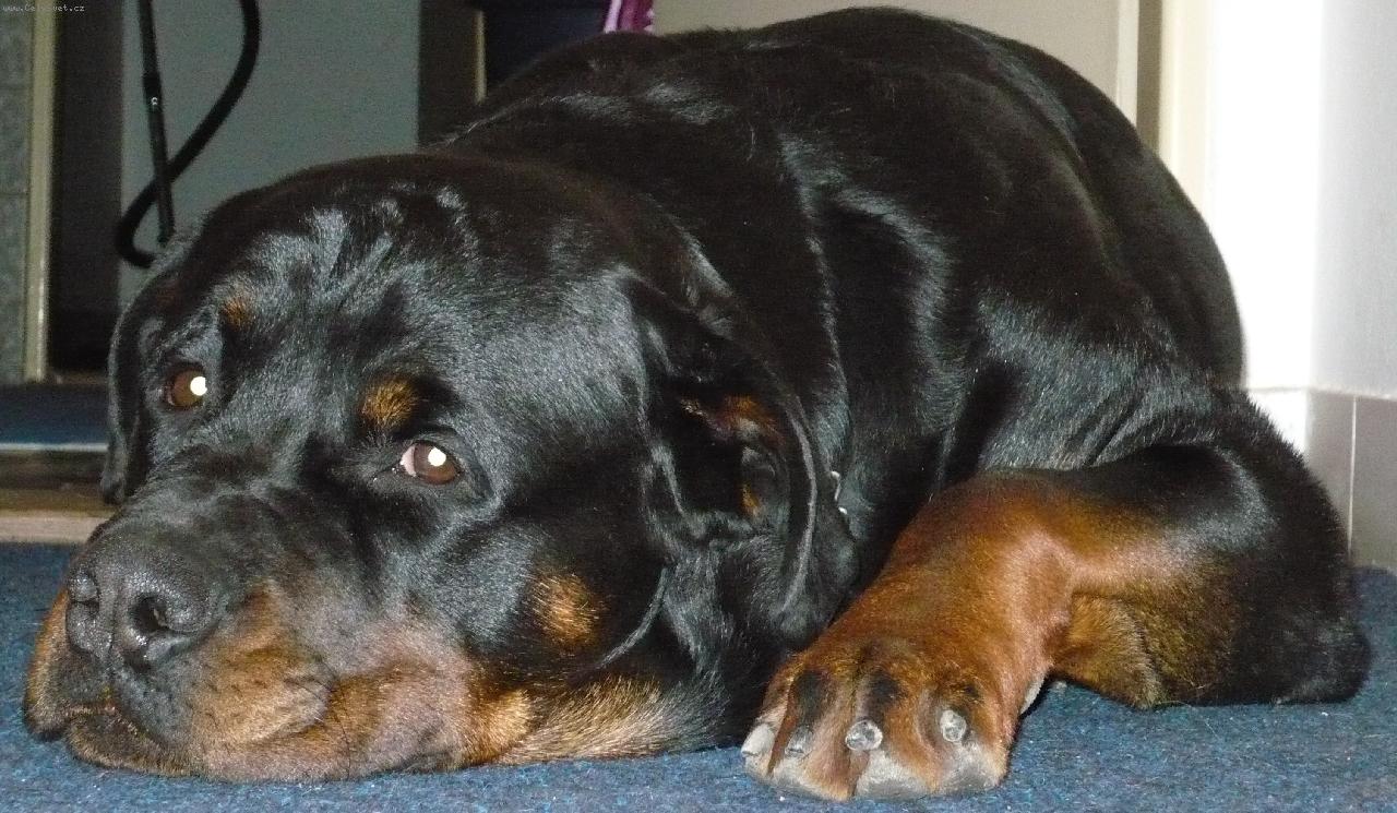 Foto: Bastien