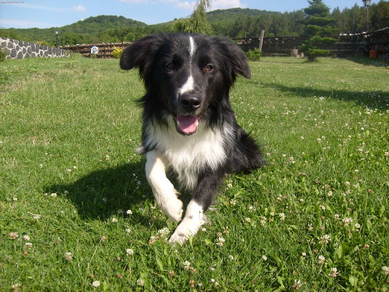 Foto: Denny