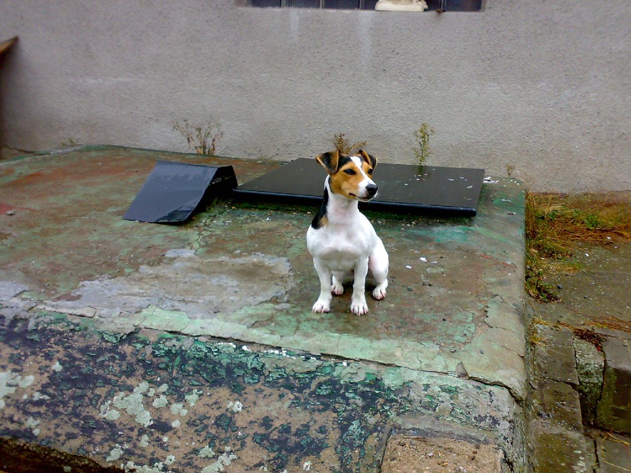 Foto: Trinity