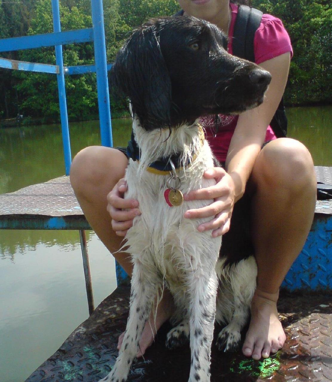 Foto: Argo - 4 roky