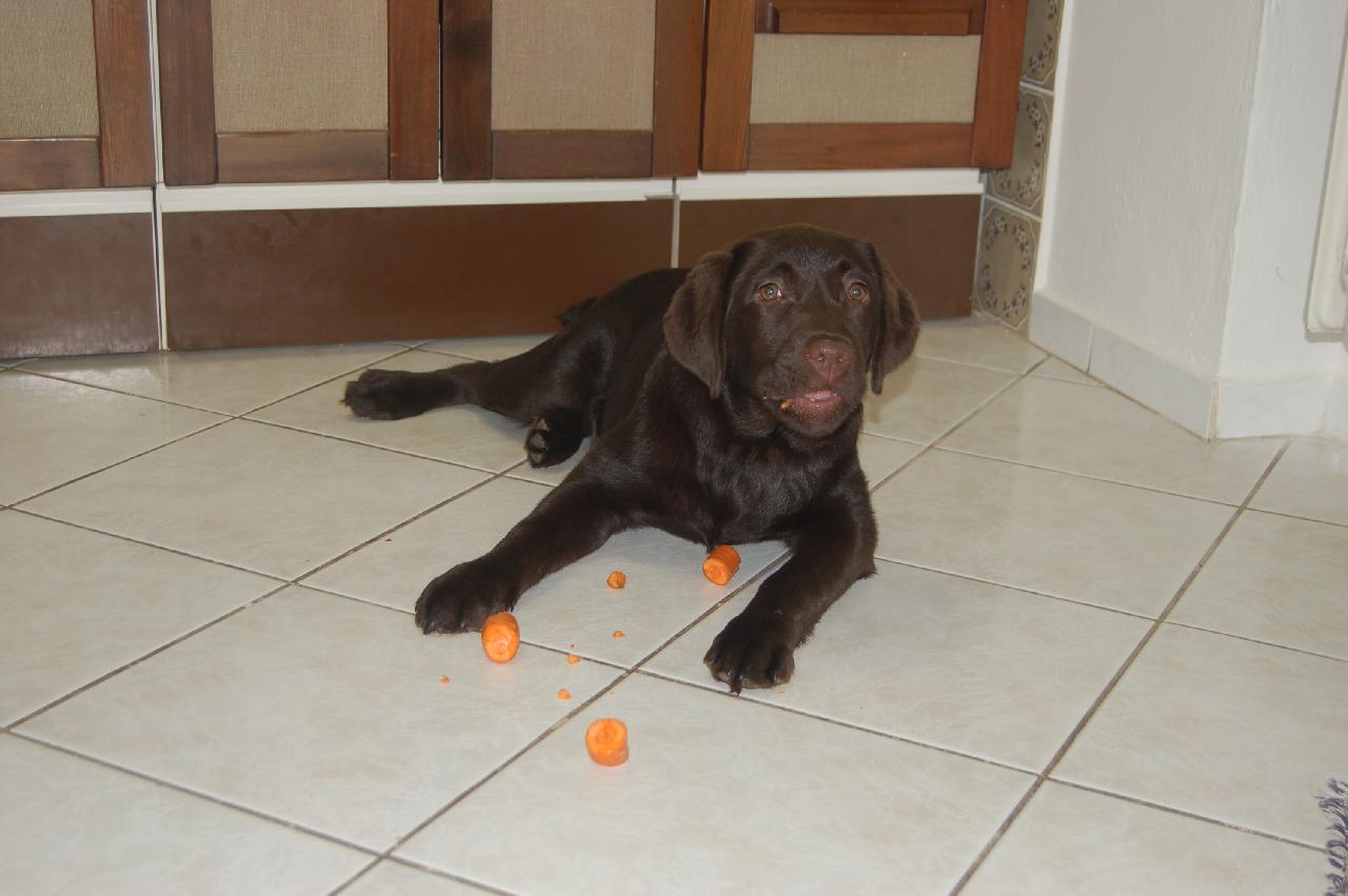 Foto: Frida