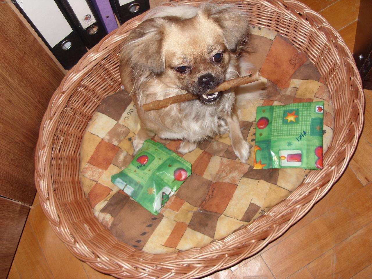 Foto: Viki