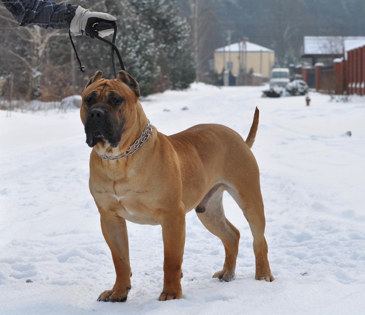 Foto: Vader