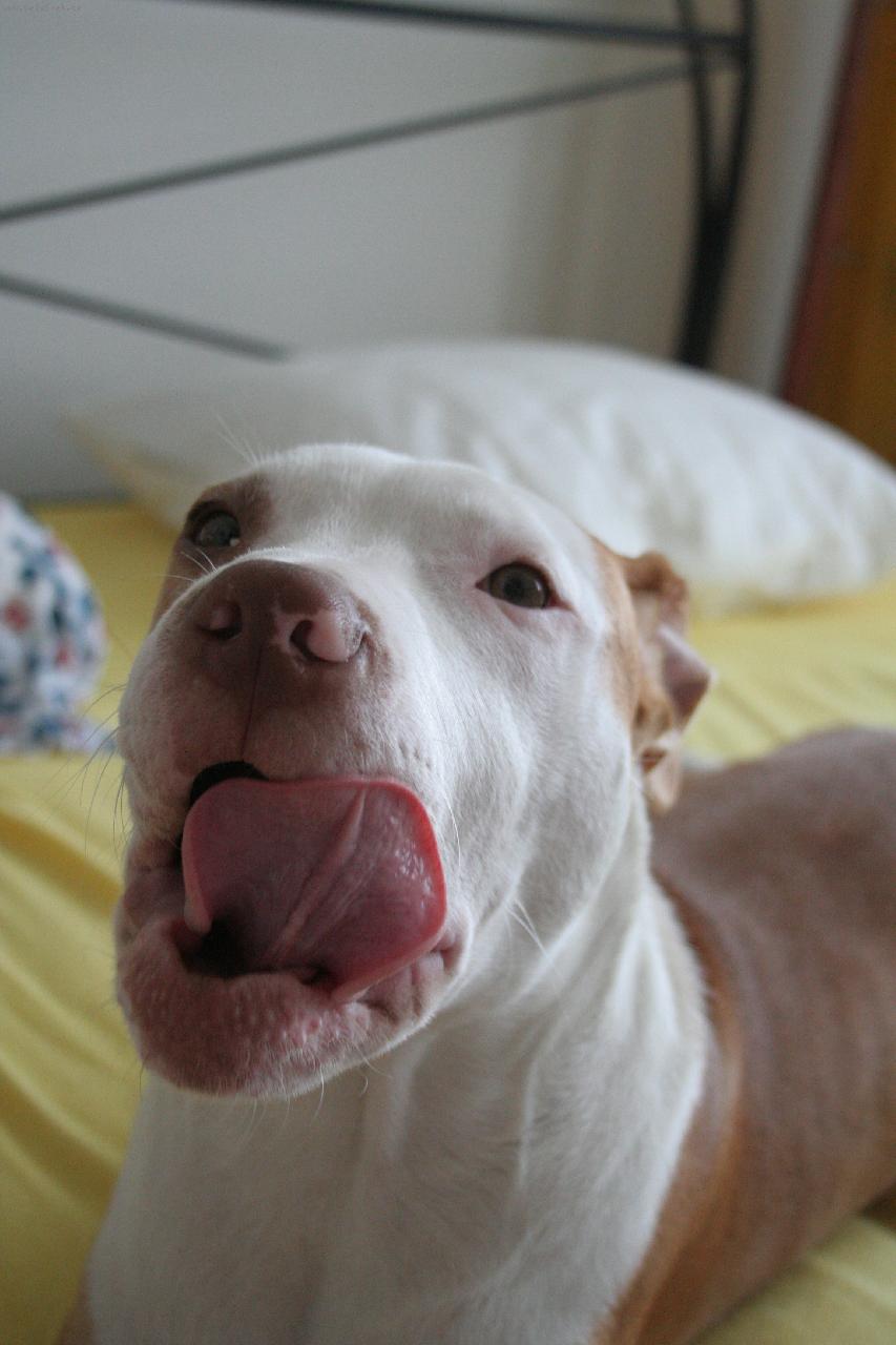 Foto: ALFI-BEN