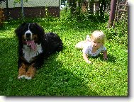 Max�k a Hani�ka