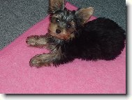 Ben  4 m�s�ce