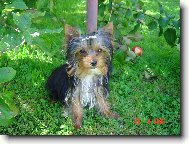 Filipek u� po t�et�