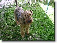 �erri