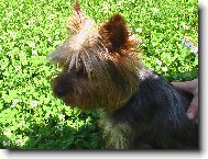 Princ poslu�n�!