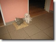 sle�na Keysi
