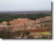 Datlov� o�za